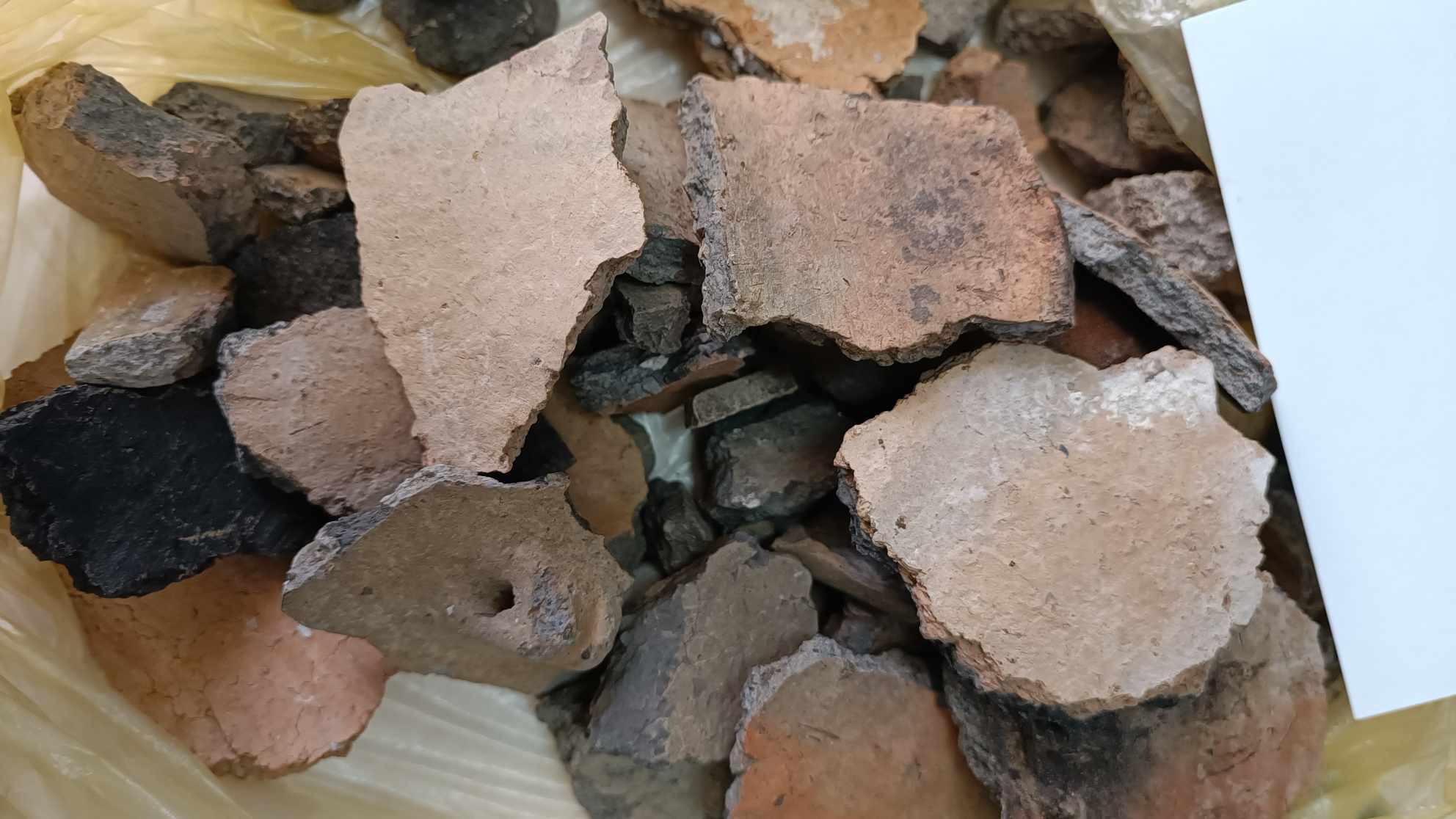 (ФОТО) В Сорокском районе археологи нашли остатки поселения бронзового века