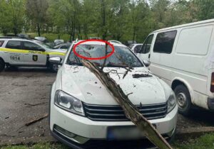 (ФОТО) В Кишиневе из-за сильного ветра пострадали 5 автомобилей. Сообщение полиции