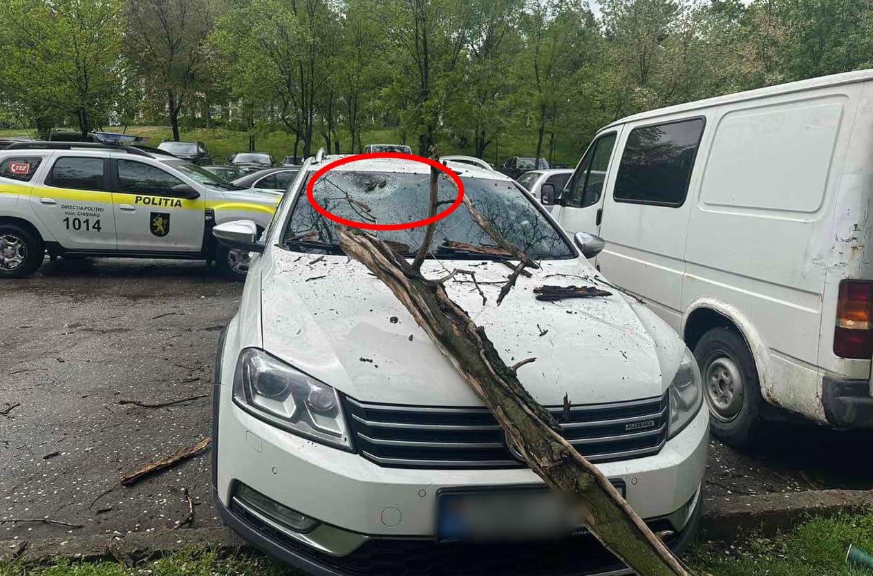 ФОТО) В Кишиневе из-за сильного ветра пострадали 5 автомобилей. Сообщение  полиции - NewsMaker