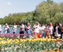 (ФОТО) Санду побывала на «острове тюльпанов» в Ботаническом саду: Это символ наших все более тесных отношений с Нидерландами