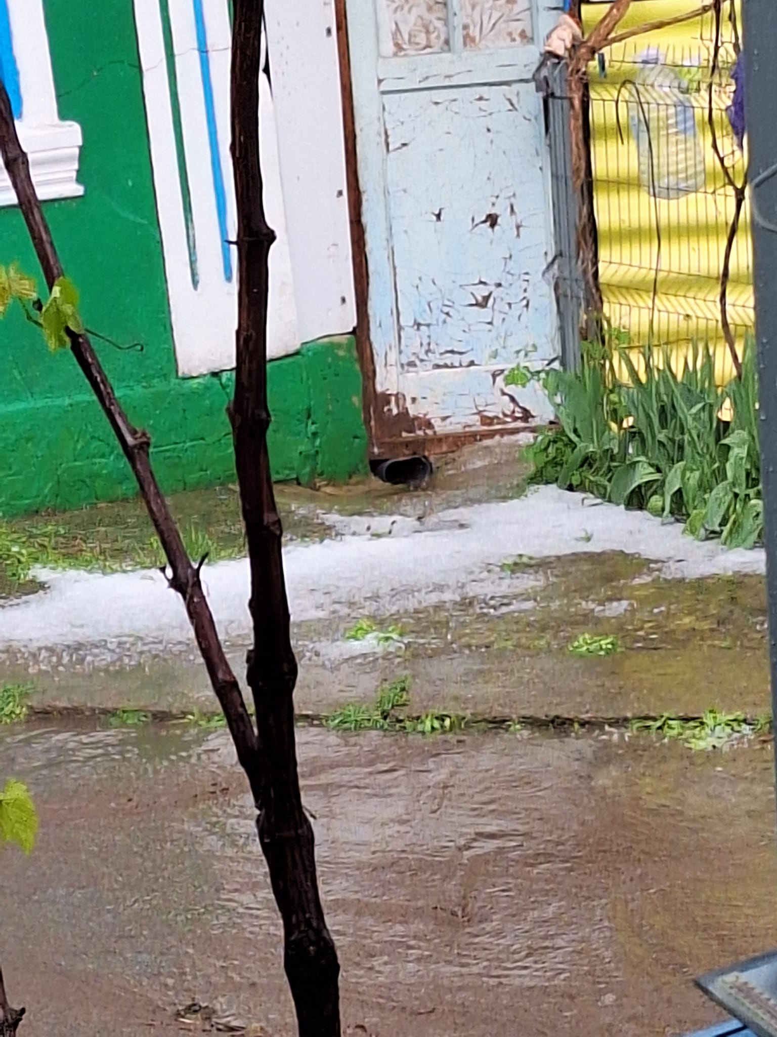 (ФОТО, ВИДЕО) На севере Молдовы прошел ливень с градом