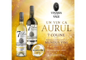 «7 Coline» от Vinaria din Vale — вино, подобное золоту