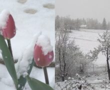 (ФОТО) На западе Румынии в середине апреля выпал снег