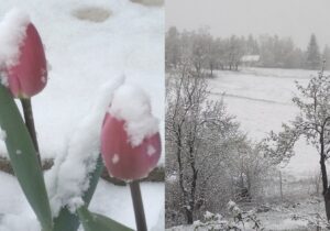 (ФОТО) На западе Румынии в середине апреля выпал снег