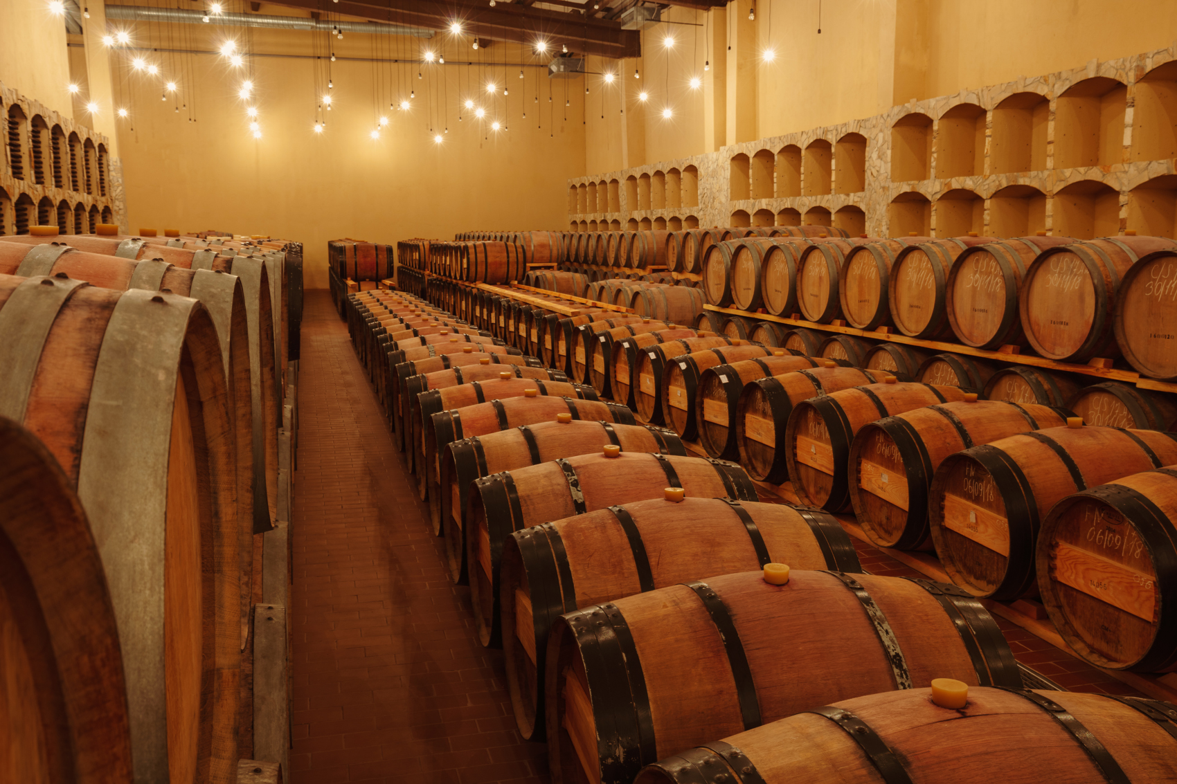 7 Coline de la Vinaria din Vale – un vin ca aurul