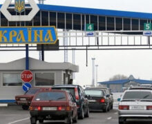 Căprioarele blocate la frontieră au fost lăsate să intre în Moldova: „Ucraina a eliberat alt certificat”