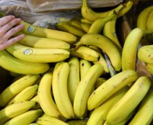 ANSA об отзыве с прилавков бананов с высоким содержанием пестицидов: «Еще возможны подобные случаи»