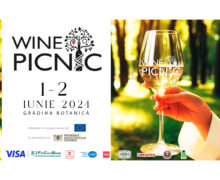 Wine Picnic 2024 — винный фестиваль в стиле пикника