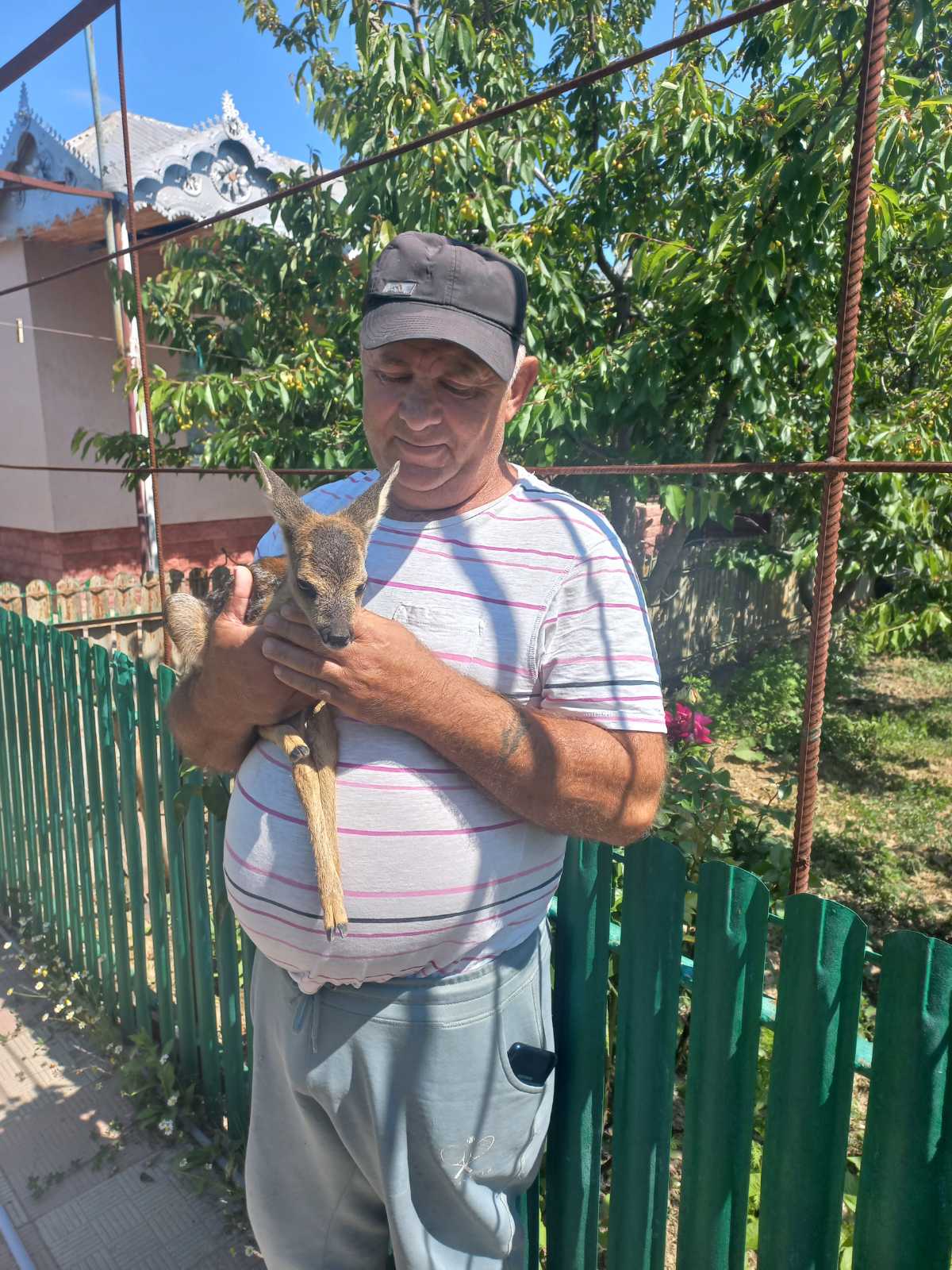 (ФОТО) Житель Хынчештского района спас детеныша косули