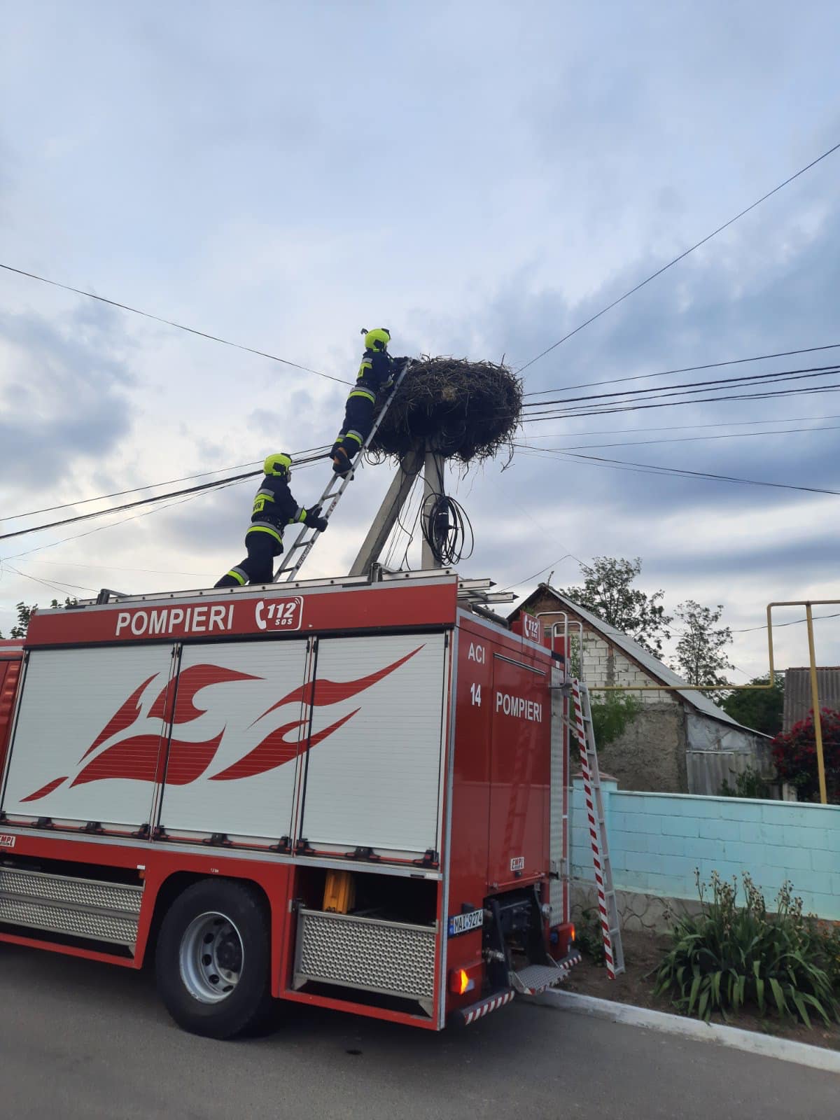(ФОТО) В Каушанах пожарные спасли птенца аиста, выпавшего из гнезда