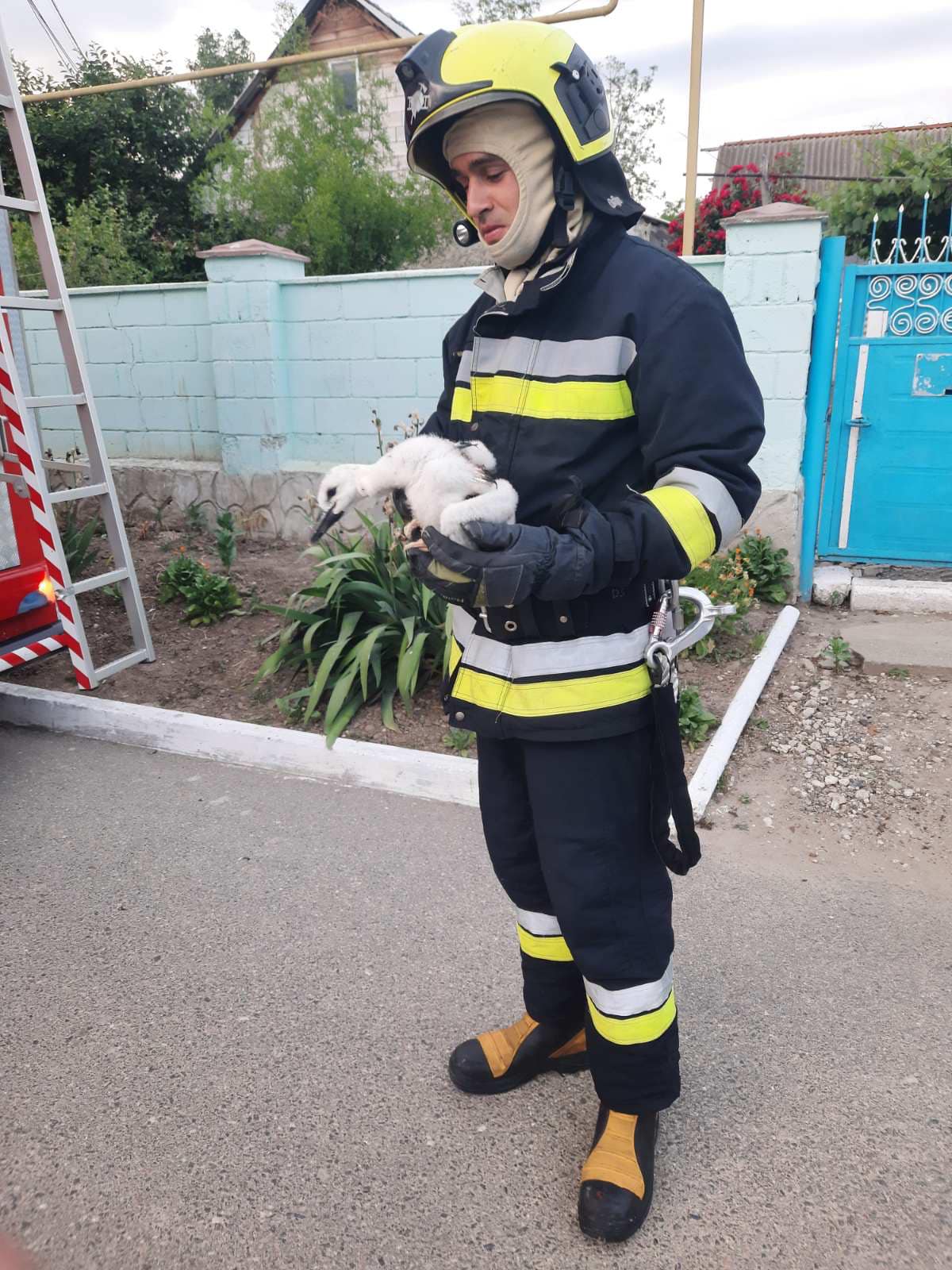 (ФОТО) В Каушанах пожарные спасли птенца аиста, выпавшего из гнезда