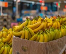 В Молдове изымают из продажи партию бананов из Эквадора с высоким содержанием пестицидов