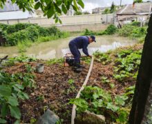 (ФОТО) В Молдове из-за ливней затопило несколько домов. Спасатели выкачали около 80 м³ воды