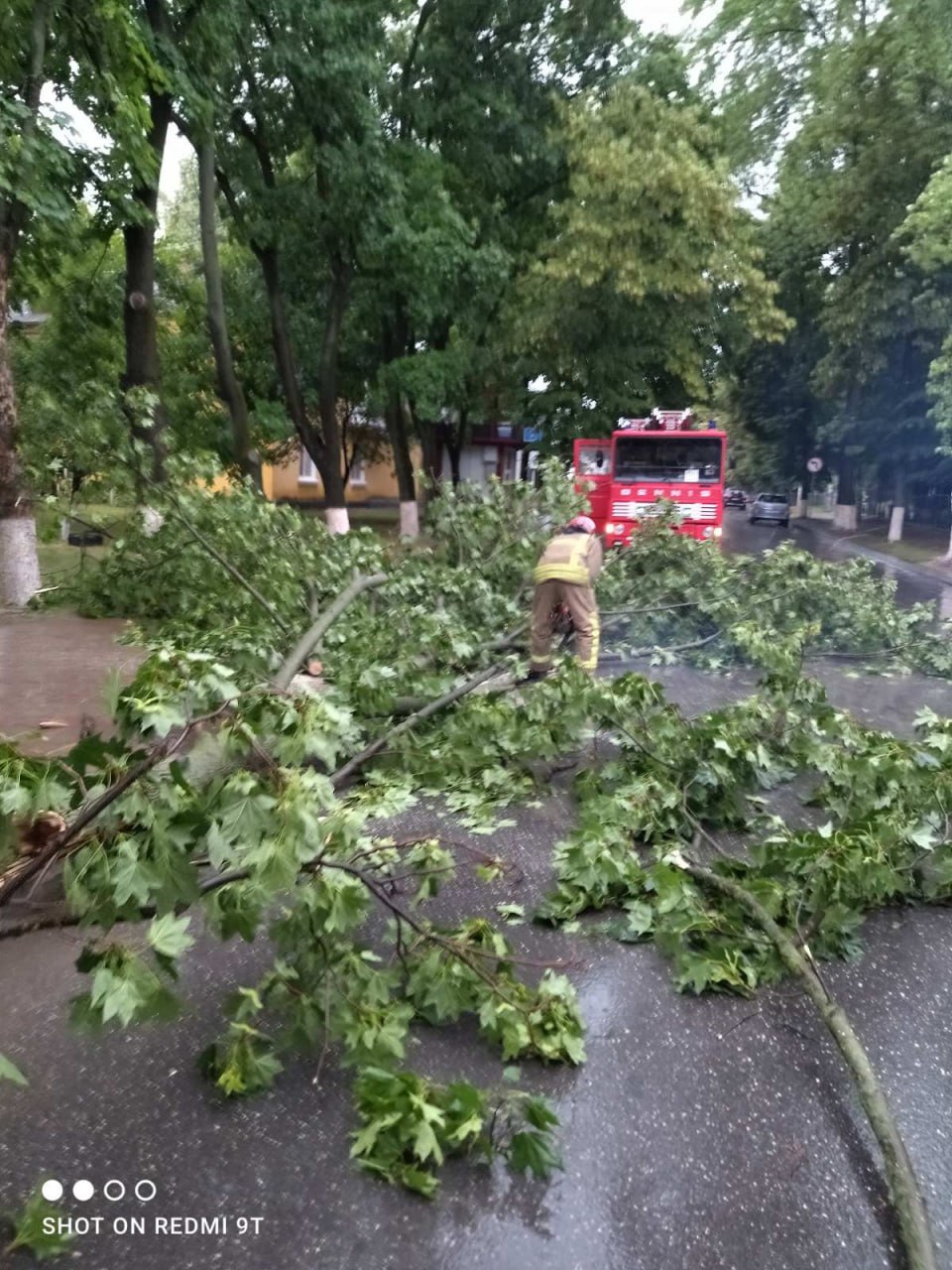 (ФОТО) В Молдове из-за ливней затопило несколько домов. Спасатели выкачали около 80 м³ воды