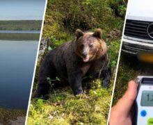 VIDEO Un copil s-a înecat la Ghidighici, un urs a atacat un cuplu din Moldova, pasagerii au oprit un șofer beat / Săptămâna 112