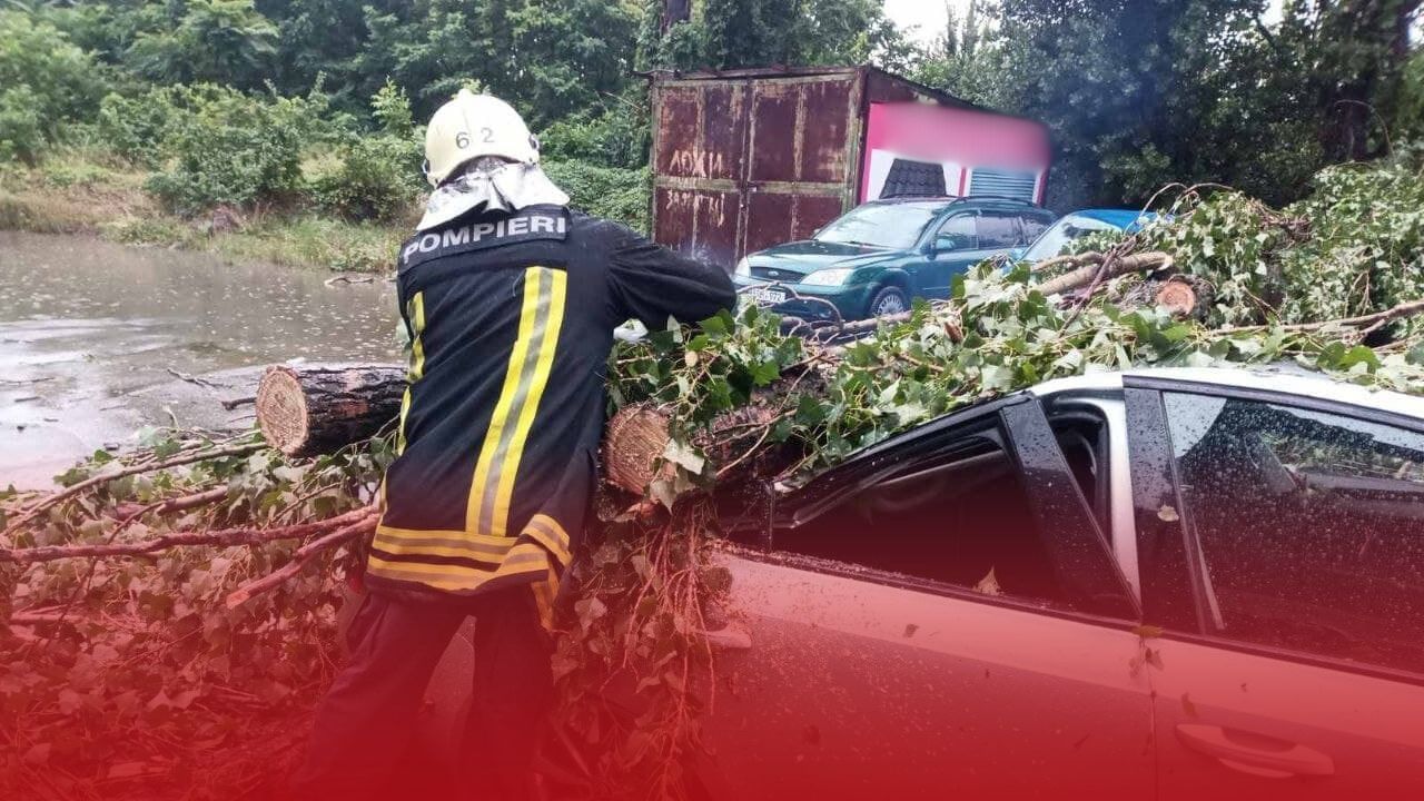 ВИДЕО) Непогода в Молдове блокировала трассы, девочку в Кишиневе убило  деревом, мужчину задавило в палатке/ Новости на NewsMaker - NewsMaker