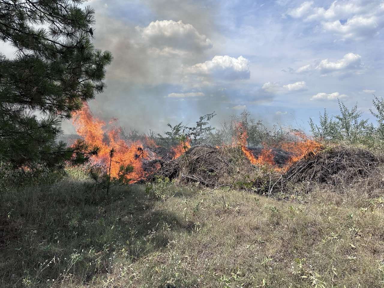 Peste 120 ha de teren distruse de incendiile de vegetație, în ultimele 24 de ore. Flăcările au afectat și Aeroportul Mărculești