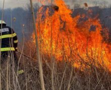 В Кишиневе на Чеканах 7 пожарных расчетов боролись с природным пожаром