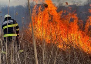 В Молдове синоптики предупредили о высоком риске пожаров и ввели желтый код из-за жары