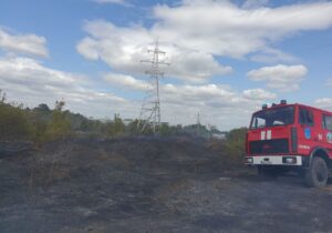 (ВИДЕО) Пожар в Каушанах. Вблизи АЗС загорелась сухая трава