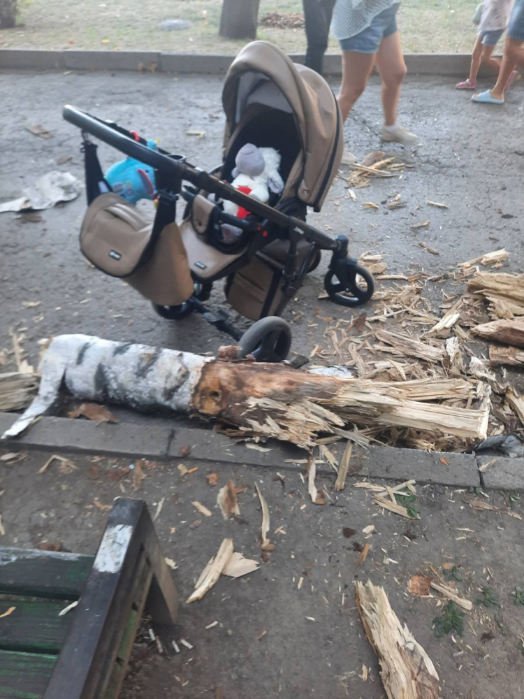 В Кишиневе дерево упало на скамейку, где сидела женщина с ребенком