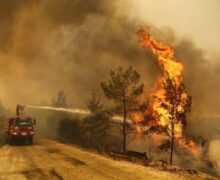 Mii de locuitori din vestul Turciei au fost evacuați din calea incendiilor de vegetație