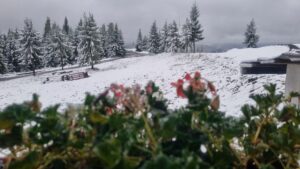 Ninge în România! S-a depus un strat consistent de zăpadă la munte (FOTO)