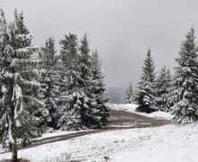 Ninge în România! S-a depus un strat consistent de zăpadă la munte (FOTO)