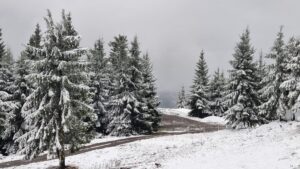 Ninge în România! S-a depus un strat consistent de zăpadă la munte (FOTO)