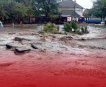 (ВИДЕО) Минобразования продвигает OrheiLand, циклон «Борис» смывает улицы, полицейская занялась политикой с Усатым/ Новости на NewsMaker