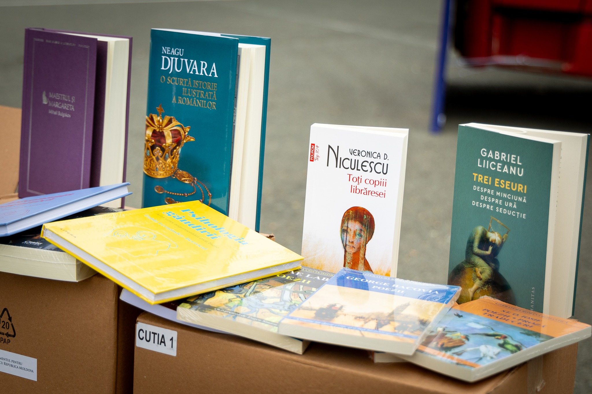 Camioane cu 100 000 de cărți, la Chișinău: donație din partea României pentru bibliotecile din R. Moldova FOTO