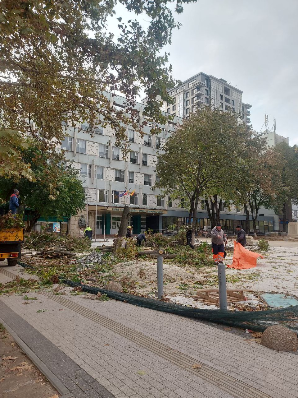 FOTO Arbori din scuarul liceului Gheorghe Asachi, aparent sănătoși, tăiați. Cum explică autoritățile