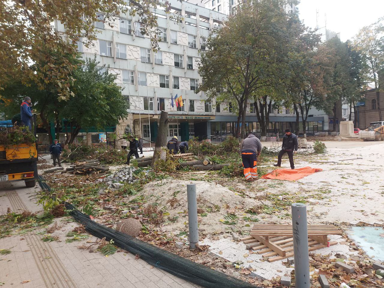 FOTO Arbori din scuarul liceului Gheorghe Asachi, aparent sănătoși, tăiați. Cum explică autoritățile