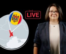 LIVE: Первые итоги выборов президента Молдовы и референдума. Прямой эфир NewsMaker