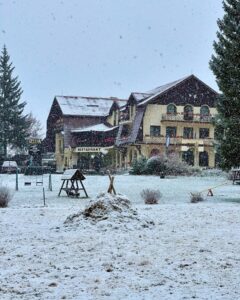 Prima ninsoare! Ninge ca-n povesti la Brașov (FOTO)