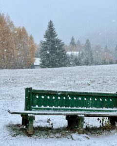 Prima ninsoare! Ninge ca-n povesti la Brașov (FOTO)