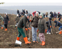 Впервые в Молдове более 1000 сотрудников Orange посадили Лес для будущего