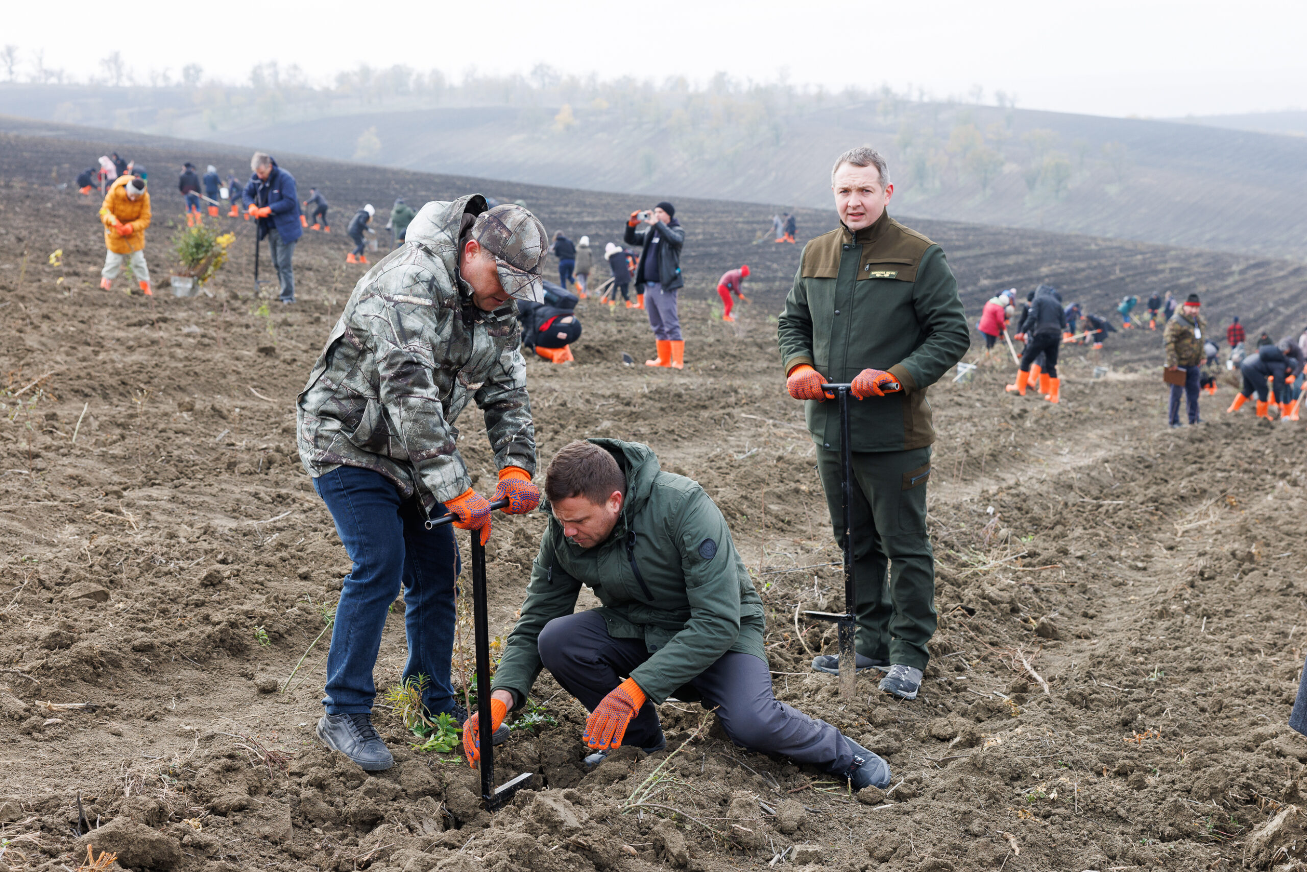 Впервые в Молдове более 1000 сотрудников Orange посадили Лес для будущего