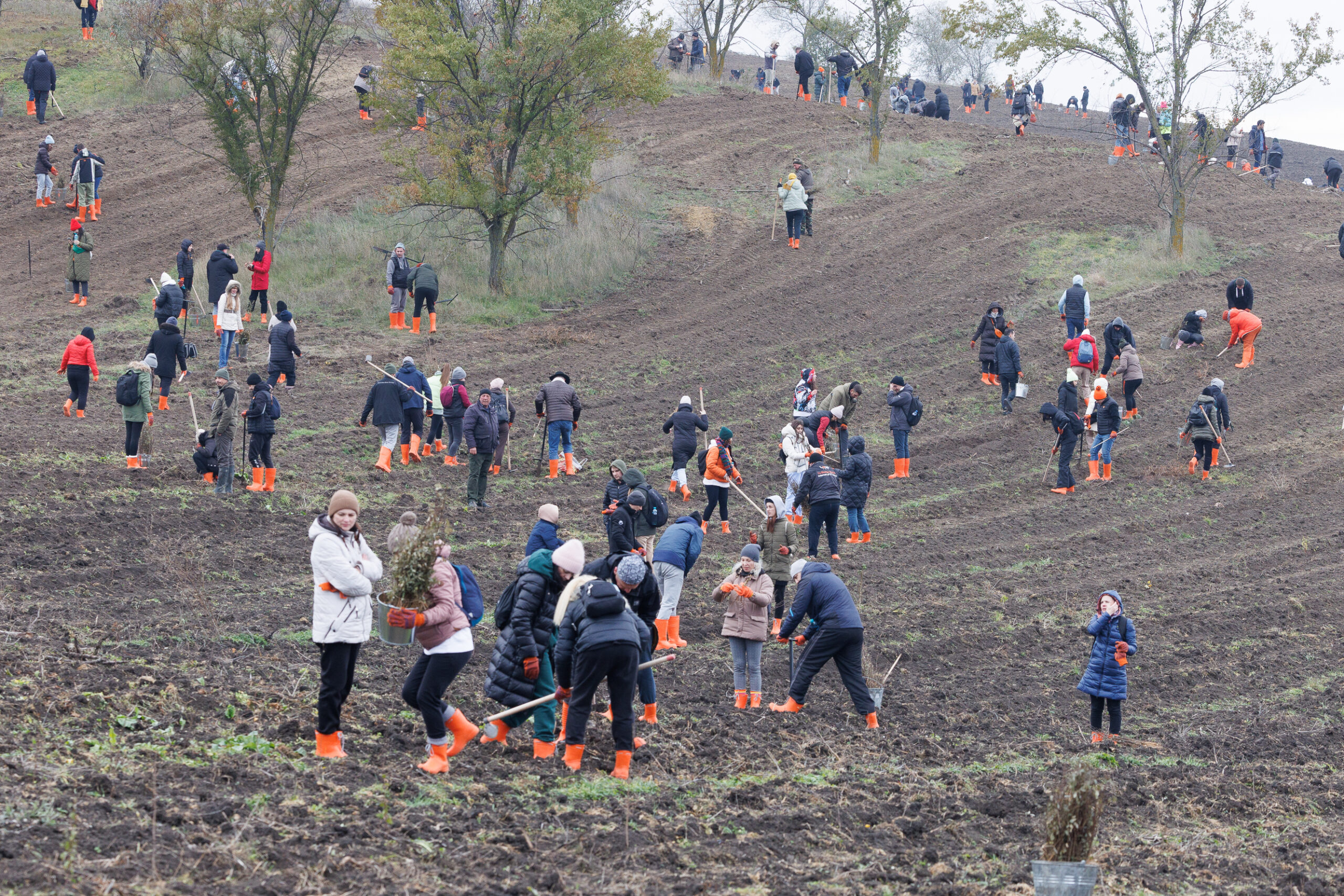 Впервые в Молдове более 1000 сотрудников Orange посадили Лес для будущего