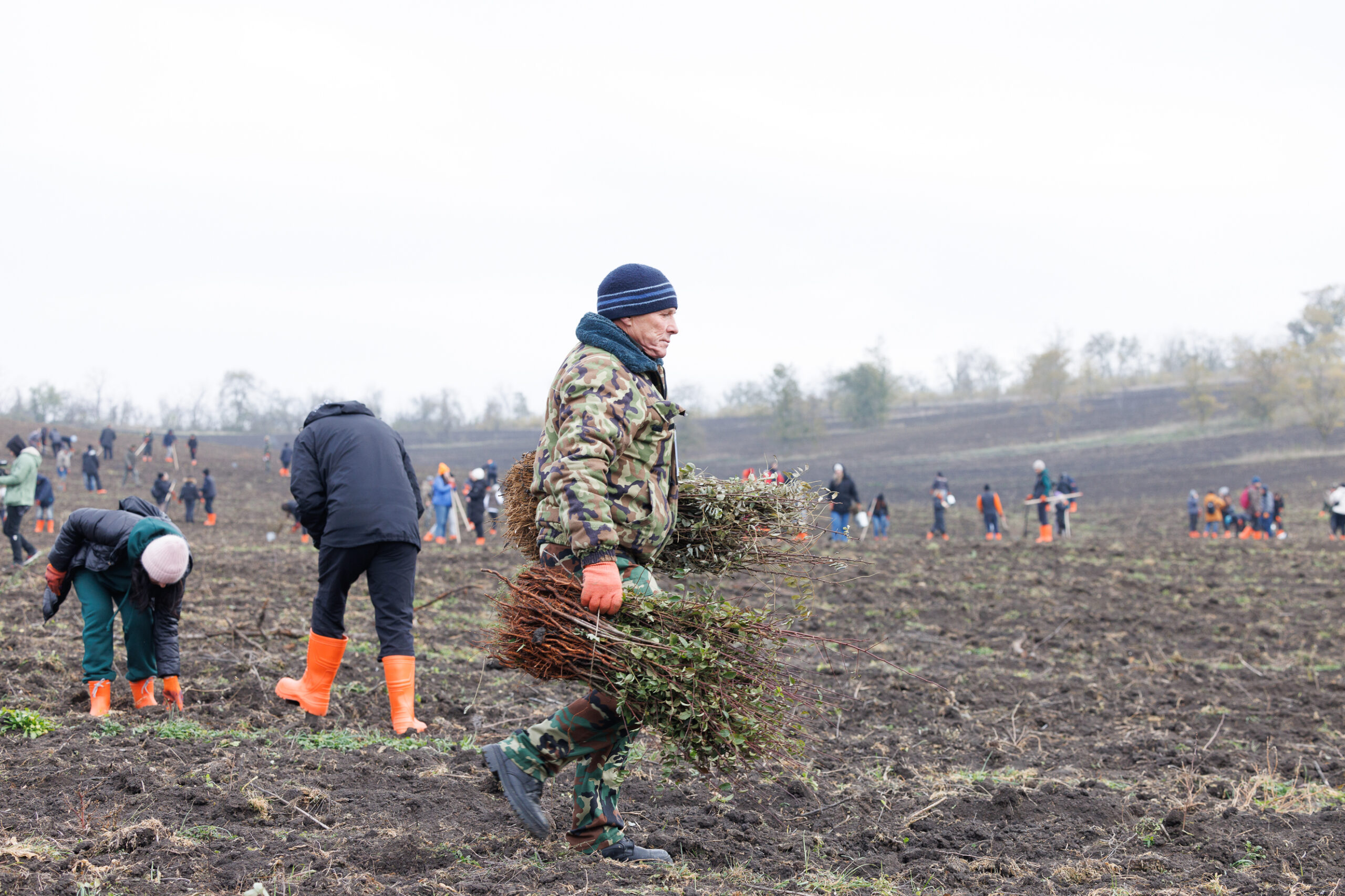 Впервые в Молдове более 1000 сотрудников Orange посадили Лес для будущего