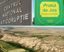 Fraudă de peste 10 milioane de lei la „Moldsilva” cu fonduri europene. Percheziții CNA la 5 persoane