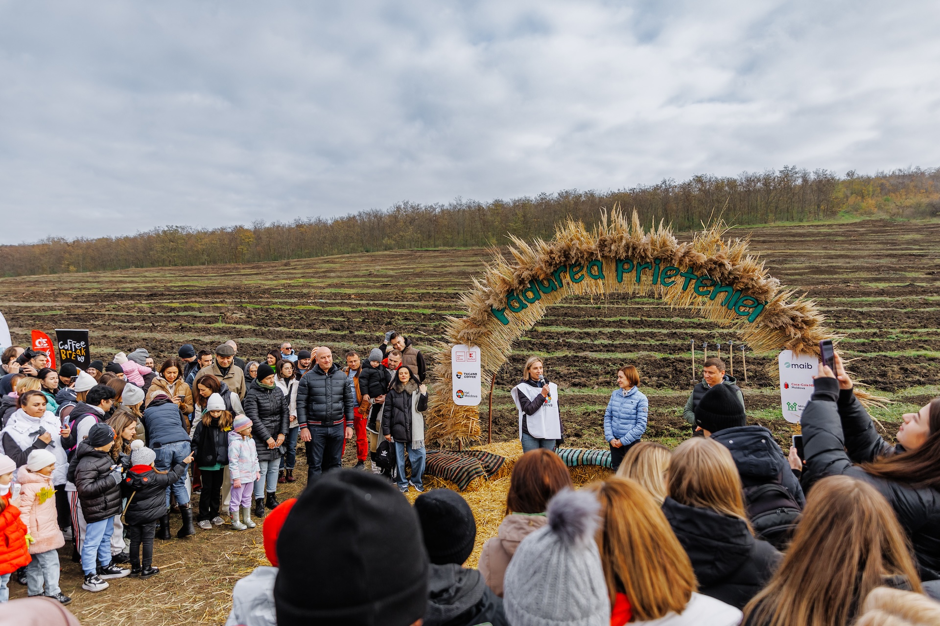 Pădurea Prieteniei – am plantat 16 000 de copaci pentru un viitor mai verde