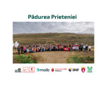 Pădurea Prieteniei – am plantat 16 000 de copaci pentru un viitor mai verde