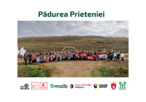 Pădurea Prieteniei – am plantat 16 000 de copaci pentru un viitor mai verde