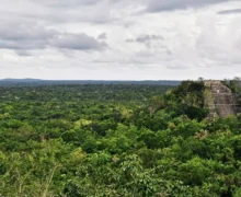 Un student la doctorat a descoperit un oraș pierdut în jungla din Mexic