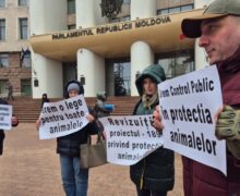 FOTO Protest al activiștilor pentru protecția animalelor în fața Parlamentului. De ce sunt nemulțumiți