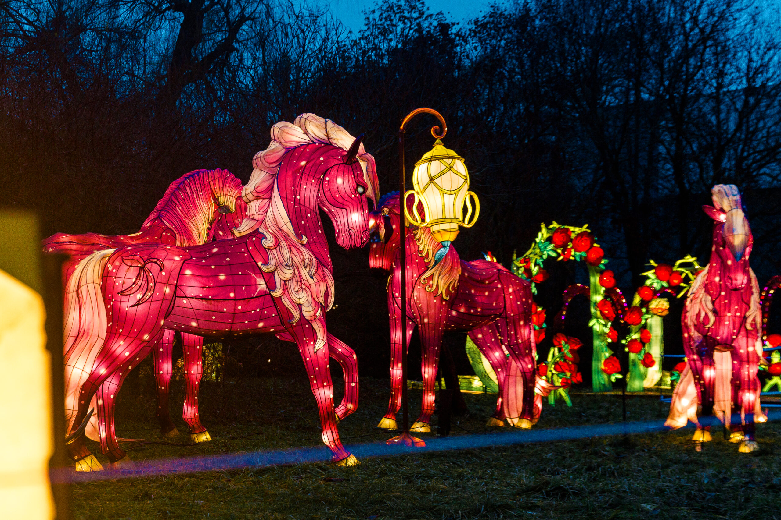 Новогодняя магия в Кишиневе: в CIE Moldexpo стартовал фестиваль фонарей «Lights & Dreams»