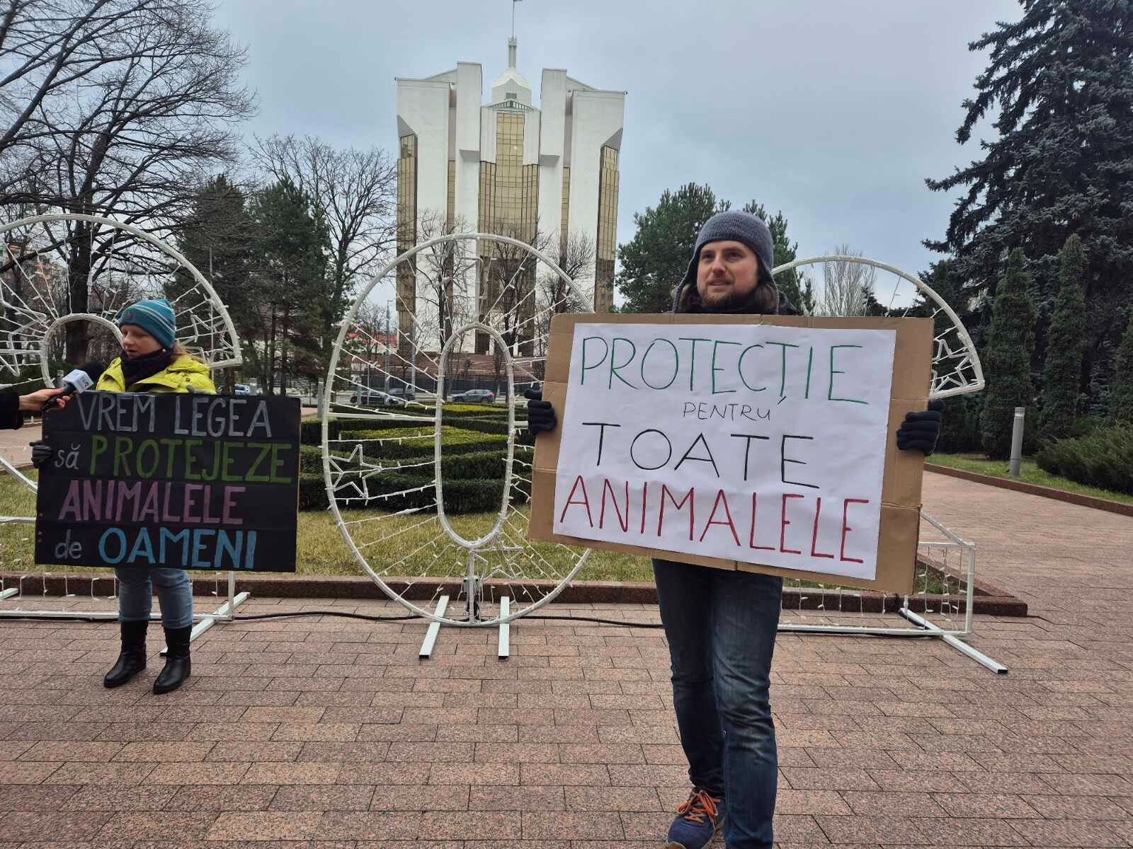 (ФОТО) Зоозащитники устроили протест у здания парламента. С чем это связано?