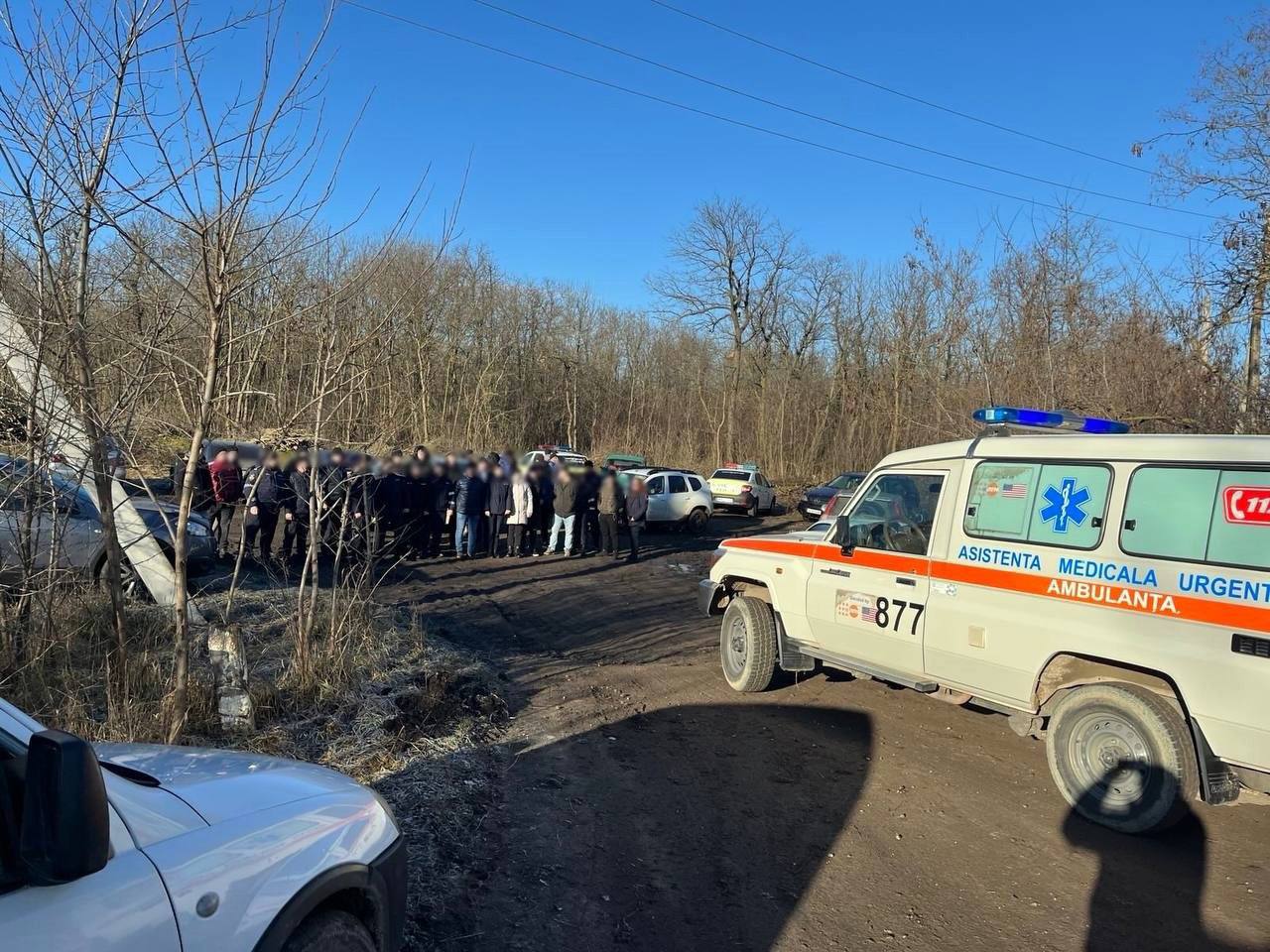 В Дубоссарском районе собака спасла девочку, заблудившуюся в лесу