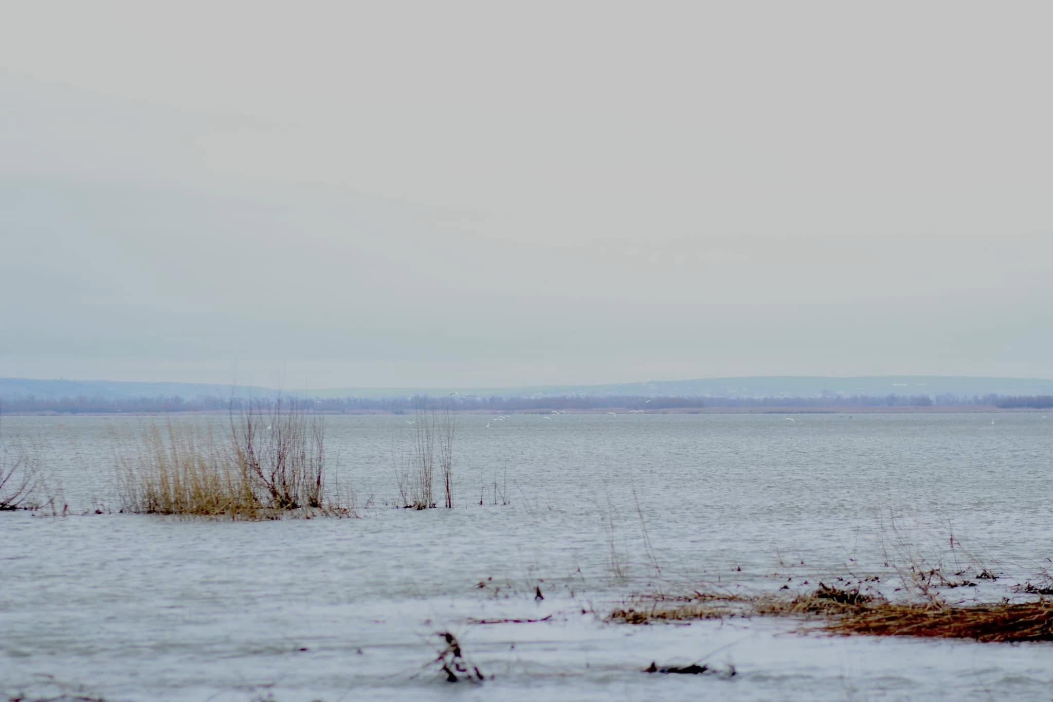 Flux mai mare de apă pentru lacul Beleu: vor fi curățate două canale ce îl alimentează